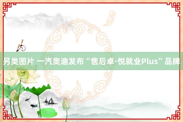 另类图片 一汽奥迪发布“售后卓·悦就业Plus”品牌