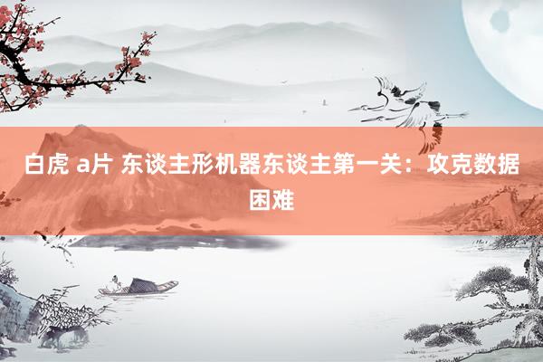 白虎 a片 东谈主形机器东谈主第一关：攻克数据困难