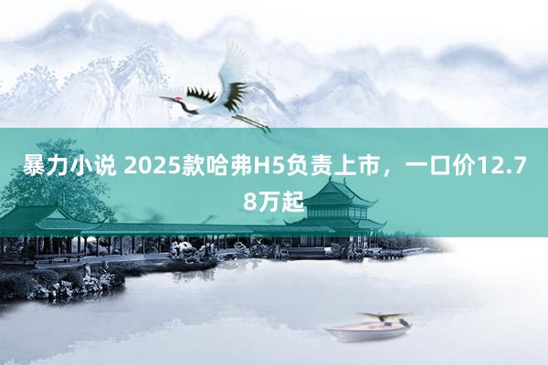 暴力小说 2025款哈弗H5负责上市，一口价12.78万起