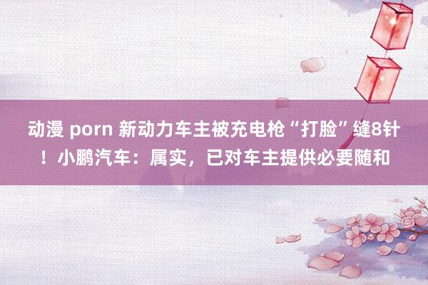 动漫 porn 新动力车主被充电枪“打脸”缝8针！小鹏汽车：属实，已对车主提供必要随和