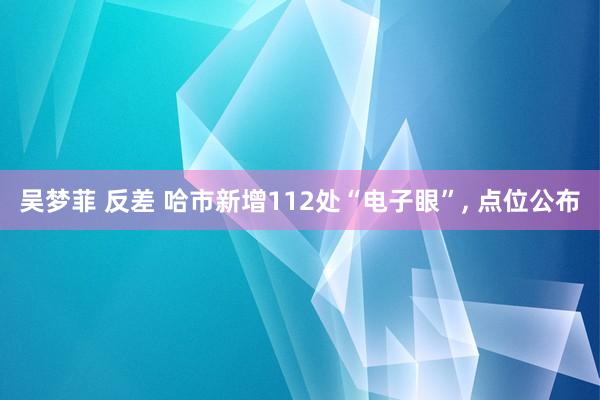吴梦菲 反差 哈市新增112处“电子眼”， 点位公布