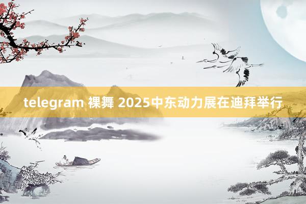 telegram 裸舞 2025中东动力展在迪拜举行
