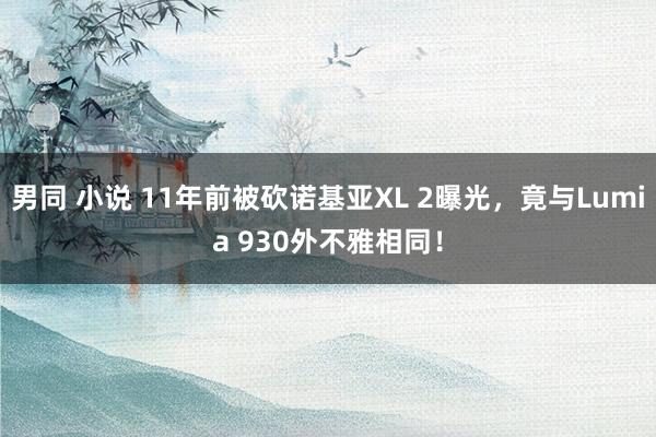 男同 小说 11年前被砍诺基亚XL 2曝光，竟与Lumia 930外不雅相同！