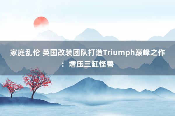 家庭乱伦 英国改装团队打造Triumph巅峰之作：增压三缸怪兽