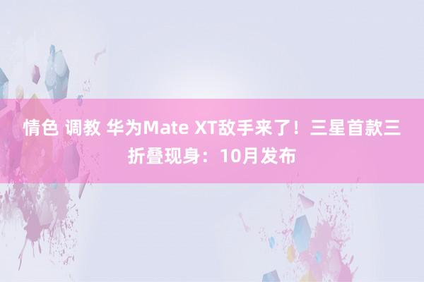 情色 调教 华为Mate XT敌手来了！三星首款三折叠现身：10月发布