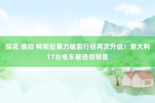 探花 偷拍 特斯拉暴力破裂行径再次升级！意大利17台电车被透彻搁置