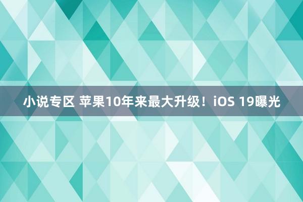 小说专区 苹果10年来最大升级！iOS 19曝光